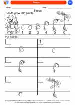 Science - Kindergarten - Worksheet: Seeds