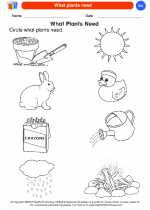 Science - Kindergarten - Worksheet: What plants need