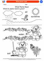 Science - Kindergarten - Worksheet: What plants need