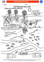 Science - Kindergarten - Worksheet: Soil Beneath Our Feet