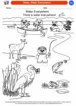 Science - Kindergarten - Worksheet: Water, Water Everywhere