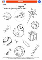 Science - Kindergarten - Worksheet: Magnets