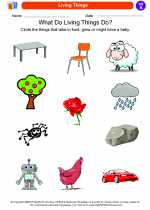 Social Studies - First Grade - Worksheet: Living Things