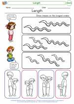 Mathematics - First Grade - Worksheet: Length