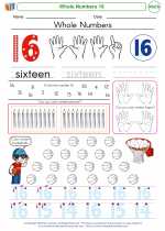 Mathematics - Kindergarten - Worksheet: Whole Numbers 16