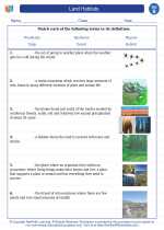 Science - Second Grade - Vocabulary: Land Habitats