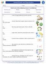 Science - Fourth Grade - Vocabulary: Animal Growth and Reproduction