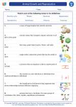 Science - Fourth Grade - Vocabulary: Animal Growth and Reproduction