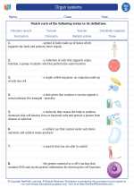 Science - Fourth Grade - Vocabulary: Organ systems