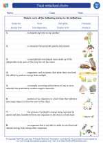 Science - Fourth Grade - Vocabulary: Food webs/food chains