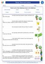 Science - Fifth Grade - Vocabulary: Roots, Stems and Leaves