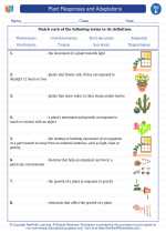 Science - Fifth Grade - Vocabulary: Plant Responses and Adaptations