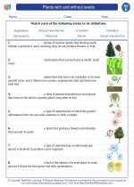 plants with and without seeds 5th grade science worksheets and answer keys study guides and vocabulary sets