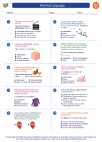 English Language Arts - Sixth Grade - Worksheet: Informal Language