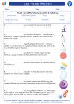 Science - Sixth Grade - Vocabulary: Cells: The Basic Units of Life