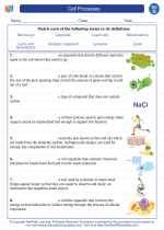 Science - Seventh Grade - Vocabulary: Cell Processes