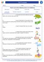 Science - Seventh Grade - Vocabulary: Cell Processes