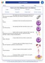 Cell Processes. 7th Grade Science Worksheets and Answer key, Study