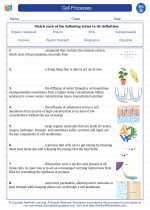 Science - Seventh Grade - Vocabulary: Cell Processes
