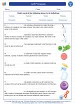 Science - Seventh Grade - Vocabulary: Cell Processes