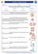 Genetics - Study of Heredity. 6th Grade Science Worksheets and Answer ...