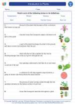 introduction to plants science worksheets and study guides seventh grade