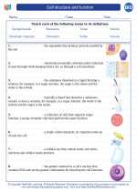 Cell structure and function. High School Biology Worksheets and Answer ...