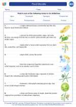Biology - High School - Vocabulary: Pond Microlife