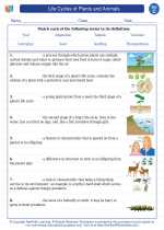 Science - Third Grade - Vocabulary: Life Cycles of Plants and Animals