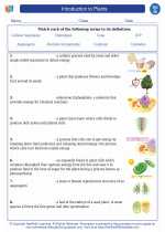 Biology - High School - Vocabulary: Introduction to Plants