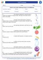 Biology - High School - Vocabulary: Cell processes