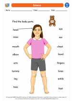 Science - First Grade - Worksheet: Human Body