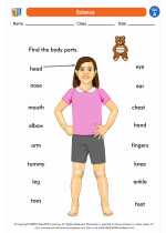 human body 1st grade science worksheets and answer keys study guides and vocabulary sets