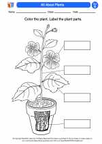 plants second grade science worksheets and answer keys study guides and vocabulary sets