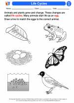 Science - First Grade - Activity Lesson: Life Cycles