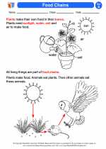 Science - First Grade - Activity Lesson: Food Chains