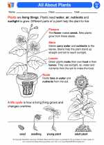 plants second grade science worksheets and answer keys study guides and vocabulary sets