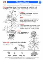Science - Second Grade - Activity Lesson: All About Plants