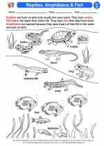 Reptiles, amphibians and fish. 2nd Grade Science Worksheets and Answer