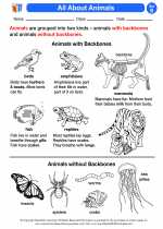 Science - Second Grade - Activity Lesson: All About Animals