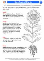 Science - Third Grade - Activity Lesson: Main Parts of Plants