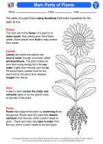 main parts of plants third grade science worksheets and study guides