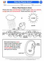 Science - Third Grade - Activity Lesson: How Do Plants Grow?