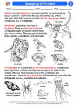 Science - Third Grade - Activity Lesson: Grouping of Animals