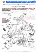 Science - Third Grade - Activity Lesson: Relationships Among Living Things