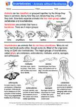 Science - Fourth Grade - Activity Lesson: Invertebrates - Animals without Backbones