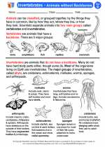 invertebrates classification worksheet