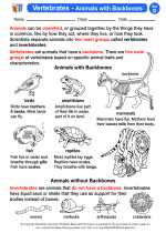 Science - Fourth Grade - Activity Lesson: Vertebrates - Animals with Backbones