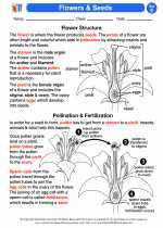 flowers and seeds 5th grade science worksheets and answer keys study guides and vocabulary sets