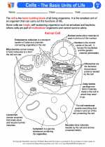 Cells: The Basic Units of Life. Science Worksheets and Study Guides ...